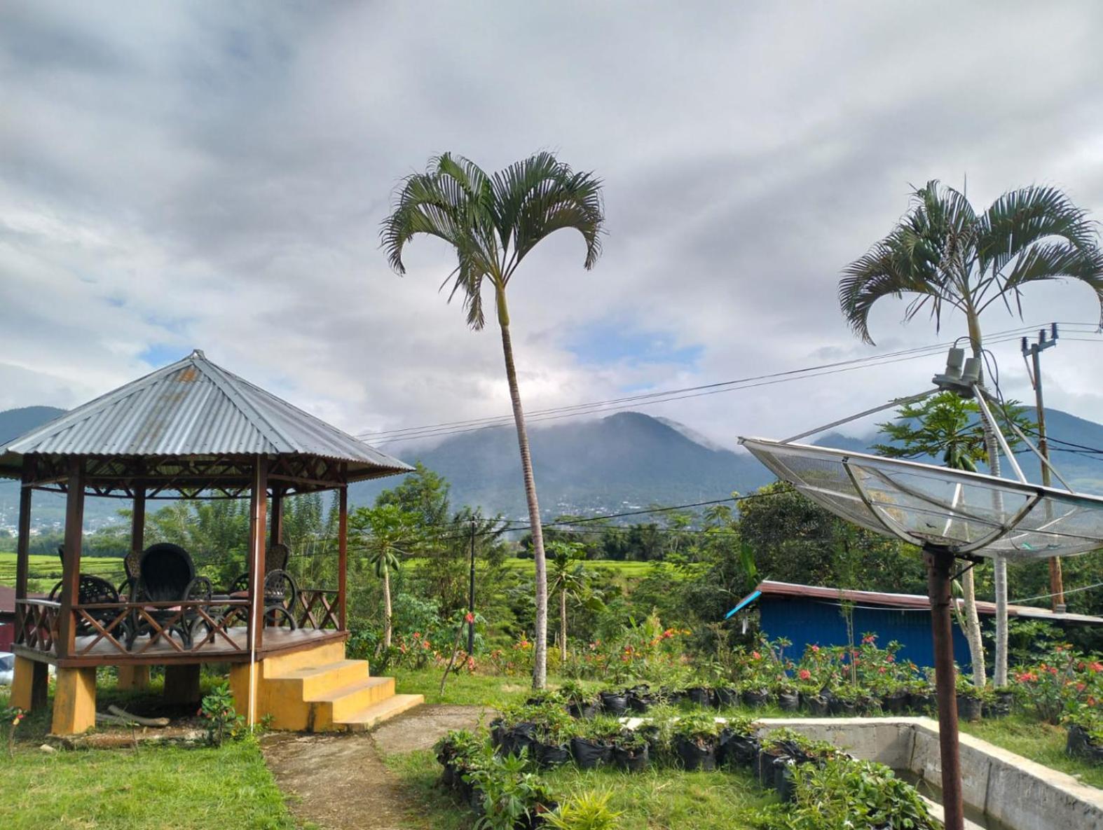 Hobbit Hill Apartment Ruteng Exterior photo